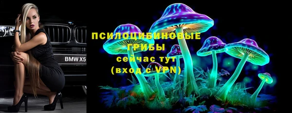 индика Белоозёрский