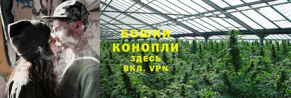индика Белоозёрский