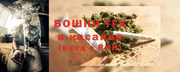 индика Белоозёрский